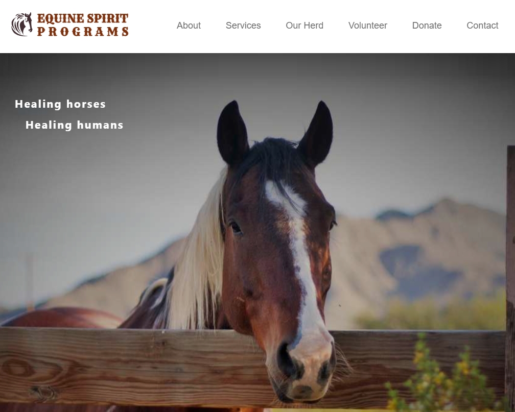 equine-spirit-programs-page-screenshot