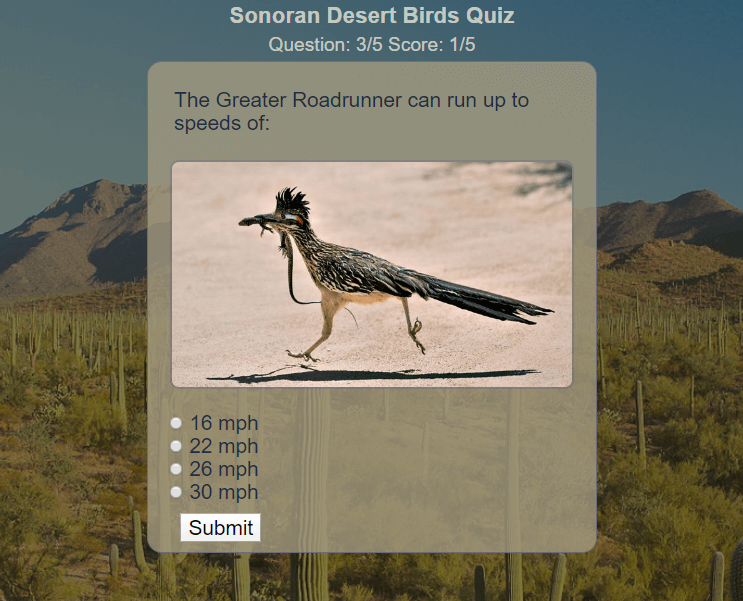 sonoran-desert-birds-quiz-screenshot